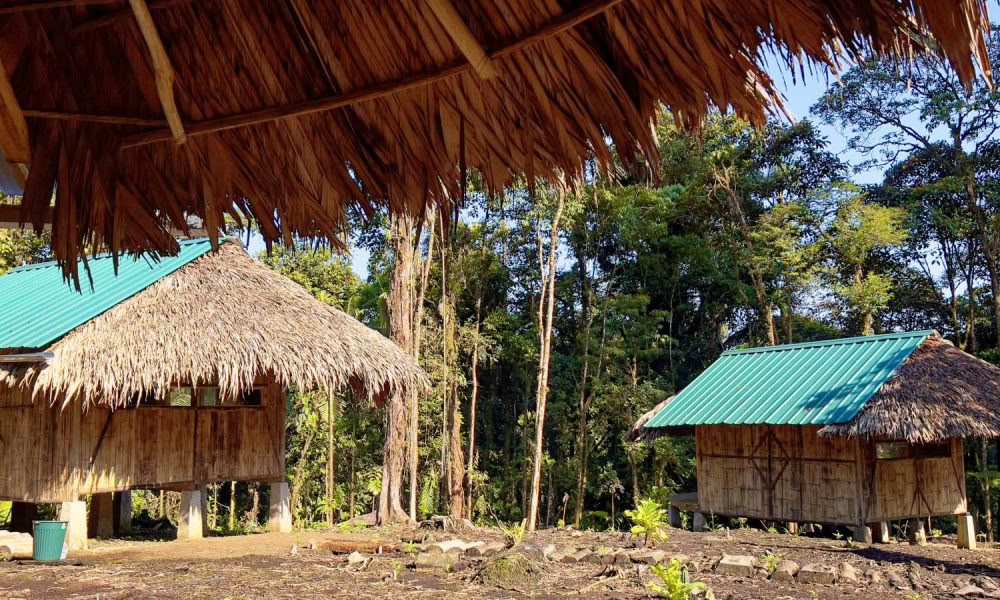 Retiro de Iniciación a la Ayahuasca: 7 y 14 días – 10-31 de enero de 2027