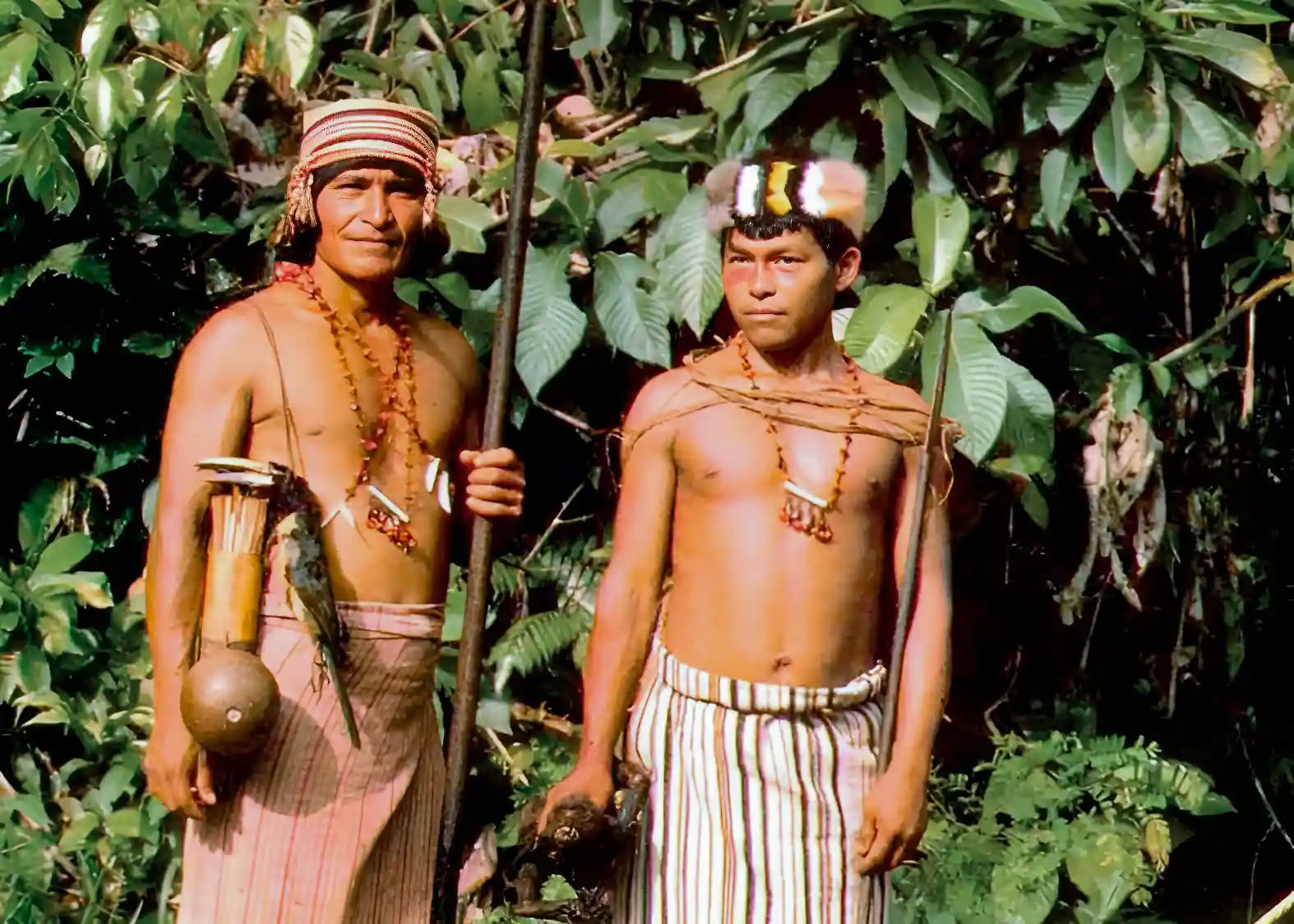 Retiro de Iniciación a la Ayahuasca: 7 y 14 días – 10-31 de enero de 2027