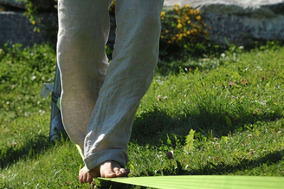 Qigong Vacaciones de otoño 2026 ; Martin Brodmann