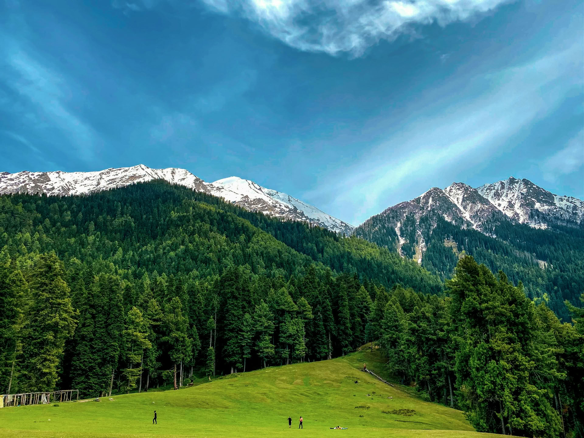 Dal Dreams & Mountain Days: Una experiencia emblemática en Cachemira