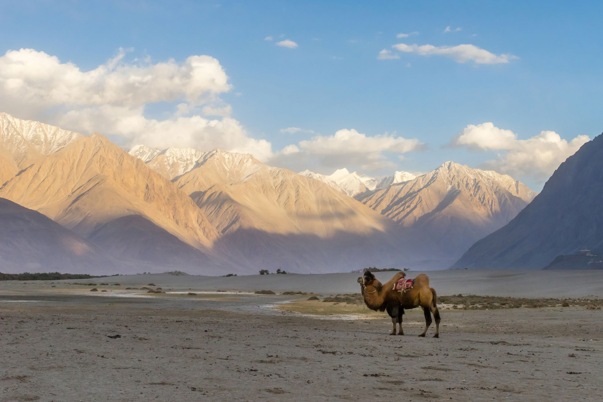Senderos culturales de Ladakh vía Zoji La y la aldea de Turtuk
