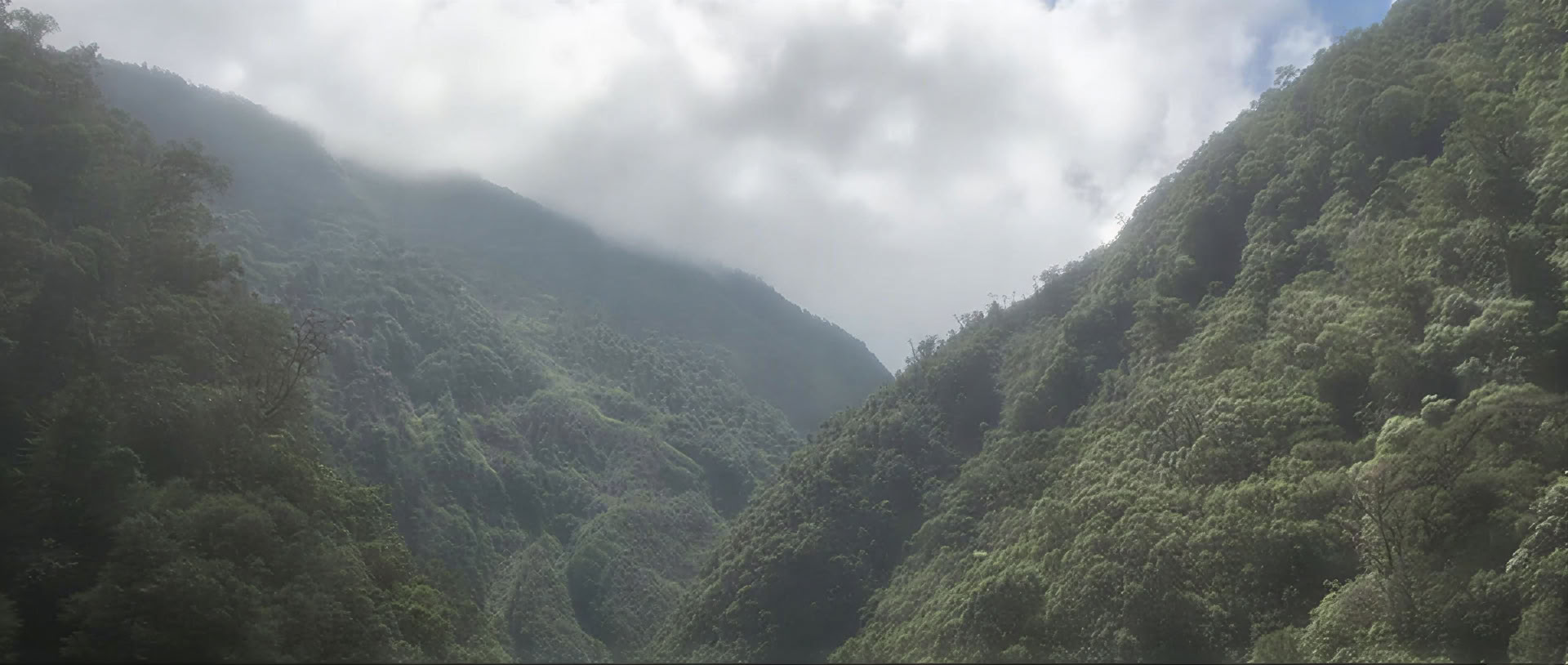 Retiro de Ayahuasca