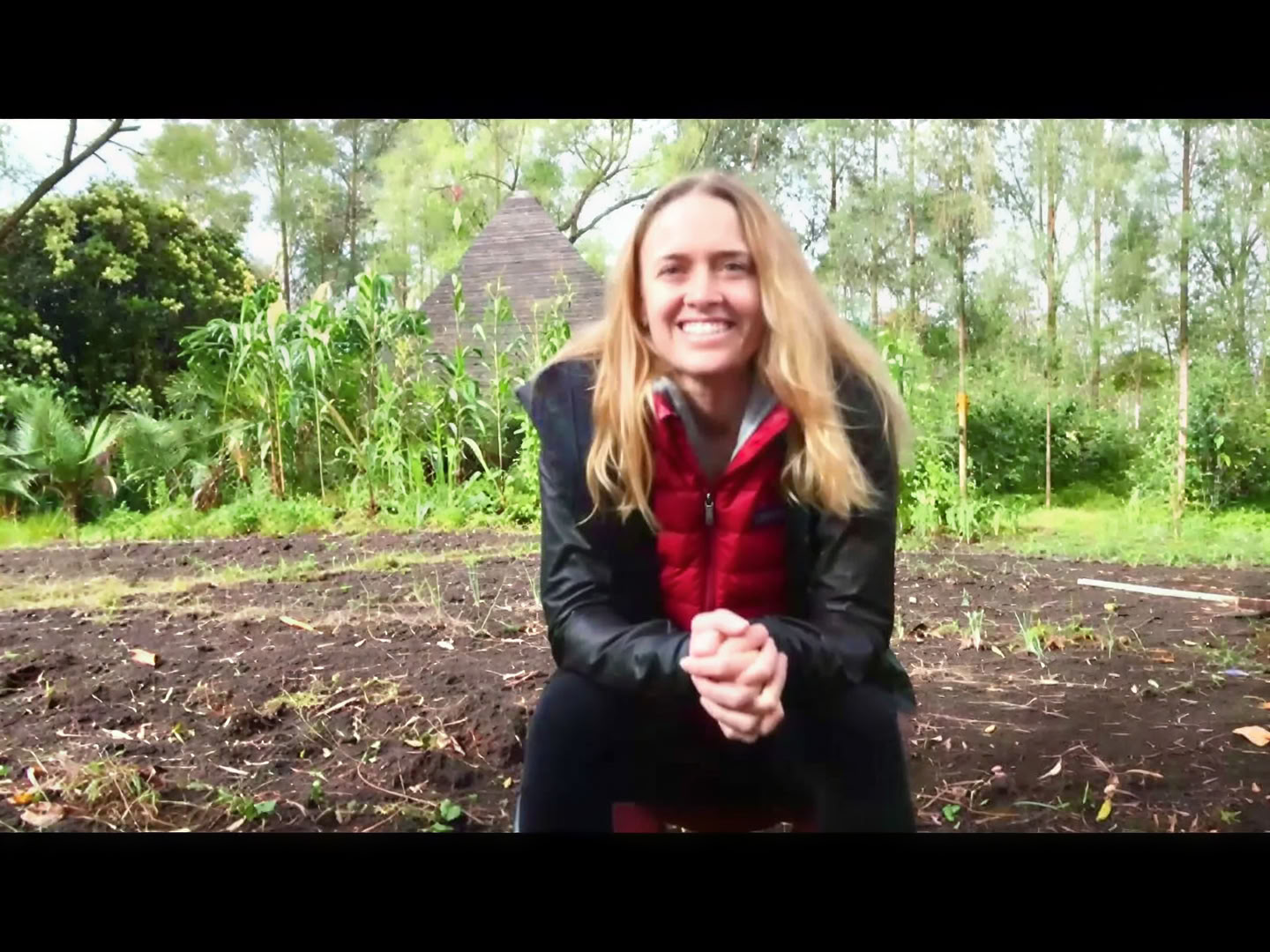 Retiro de Ayahuasca