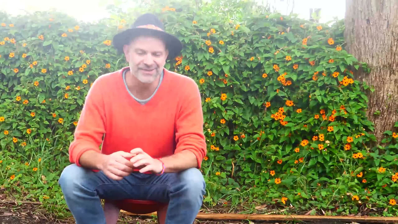 Retiro de Ayahuasca