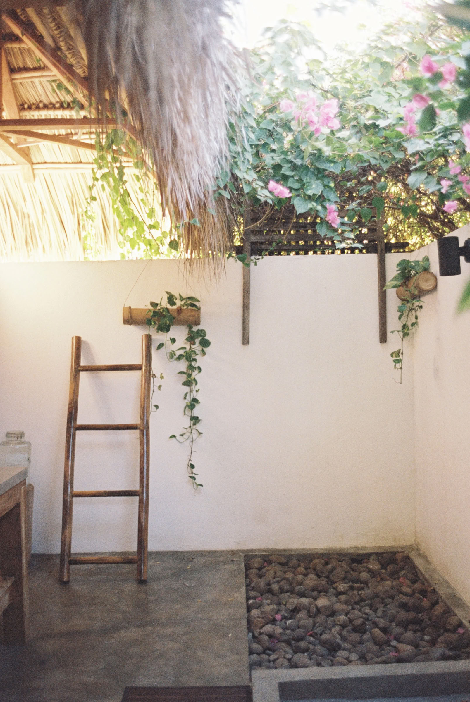 Retiro de Yoga en la Nicaragua Salvaje