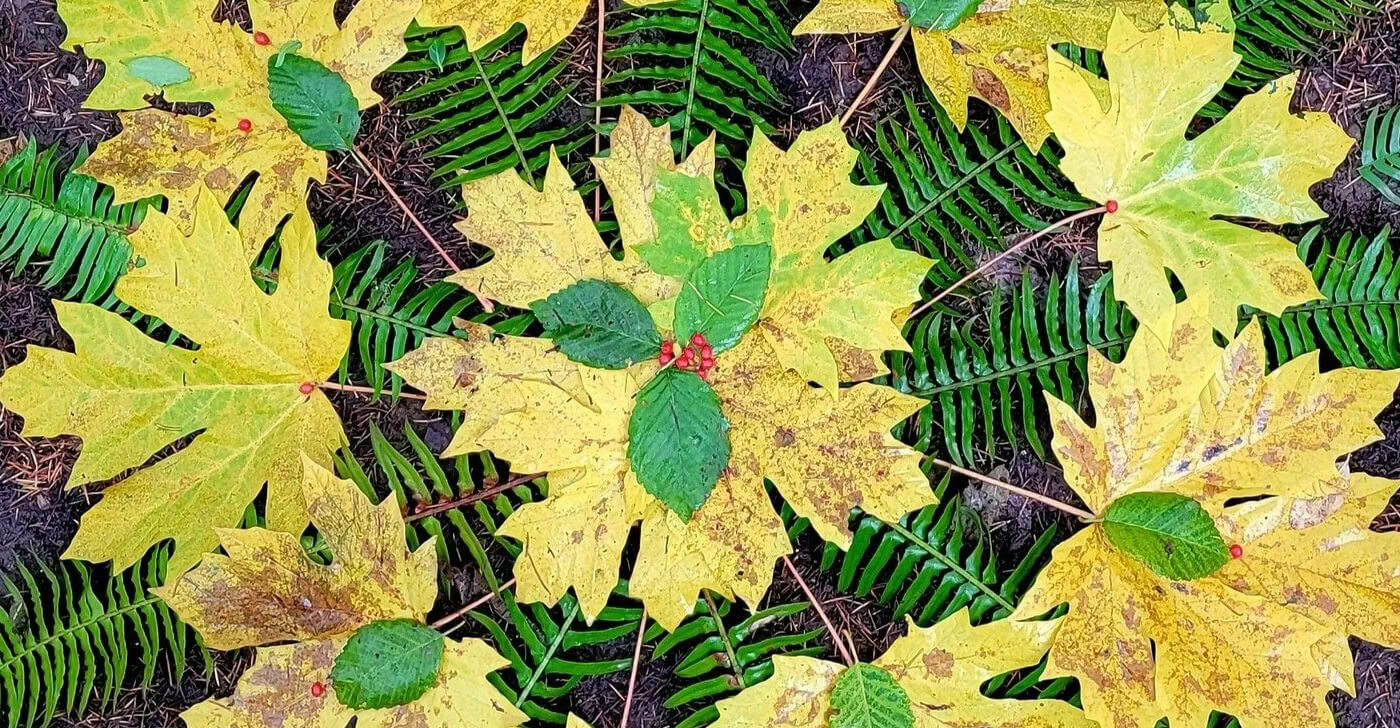 Arte en la naturaleza