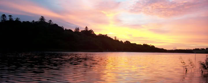 Silencio y Calma: Retiro Vipassana