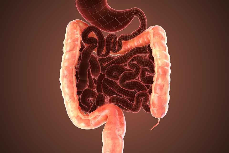 7 días de limpieza de colon e hígado – 4 al 13 de sep de 2026