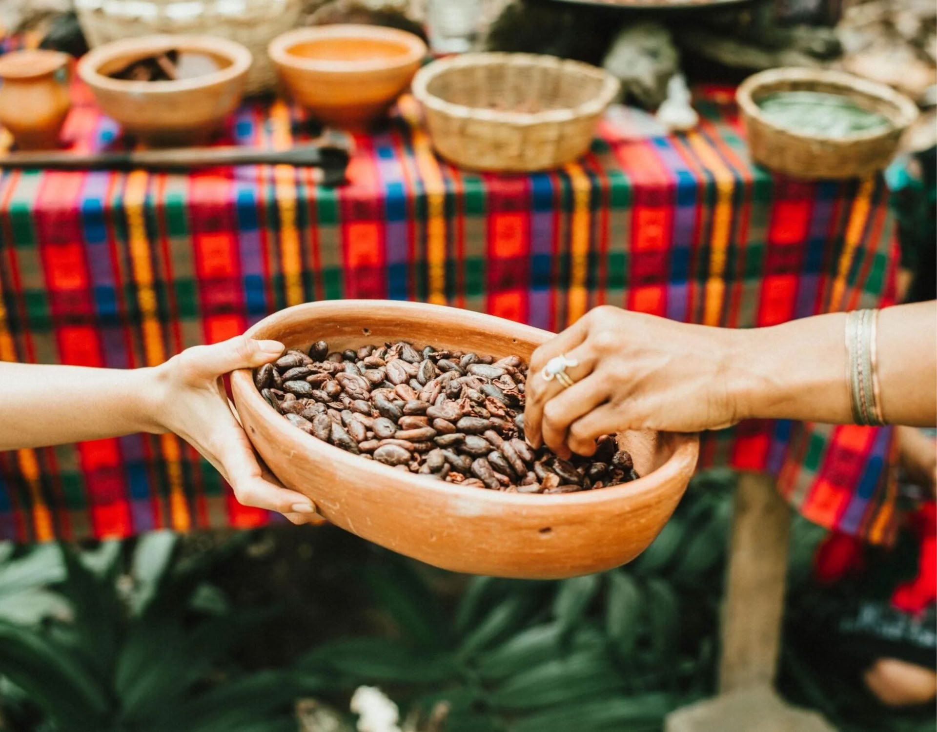 Formación en Cacao Source