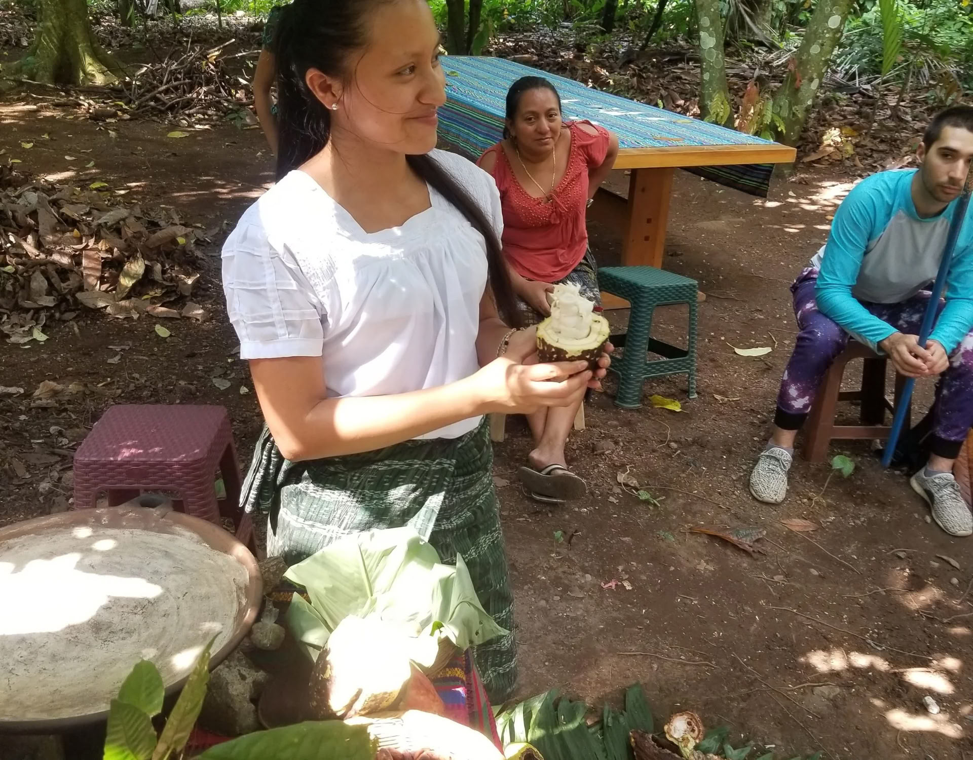 Formación en Cacao Source