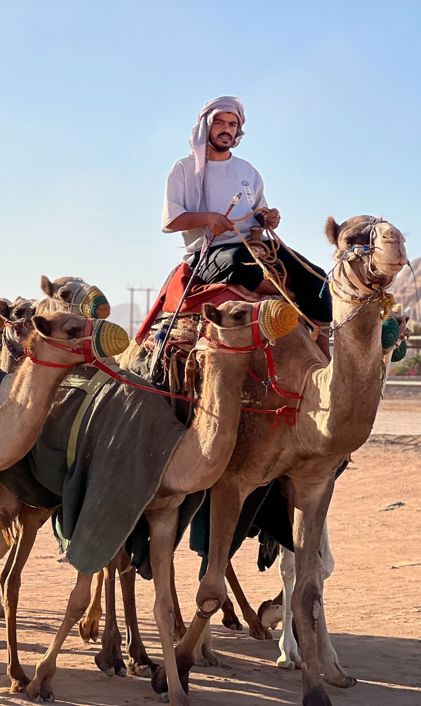 5 días Jordan Wanderer Tour