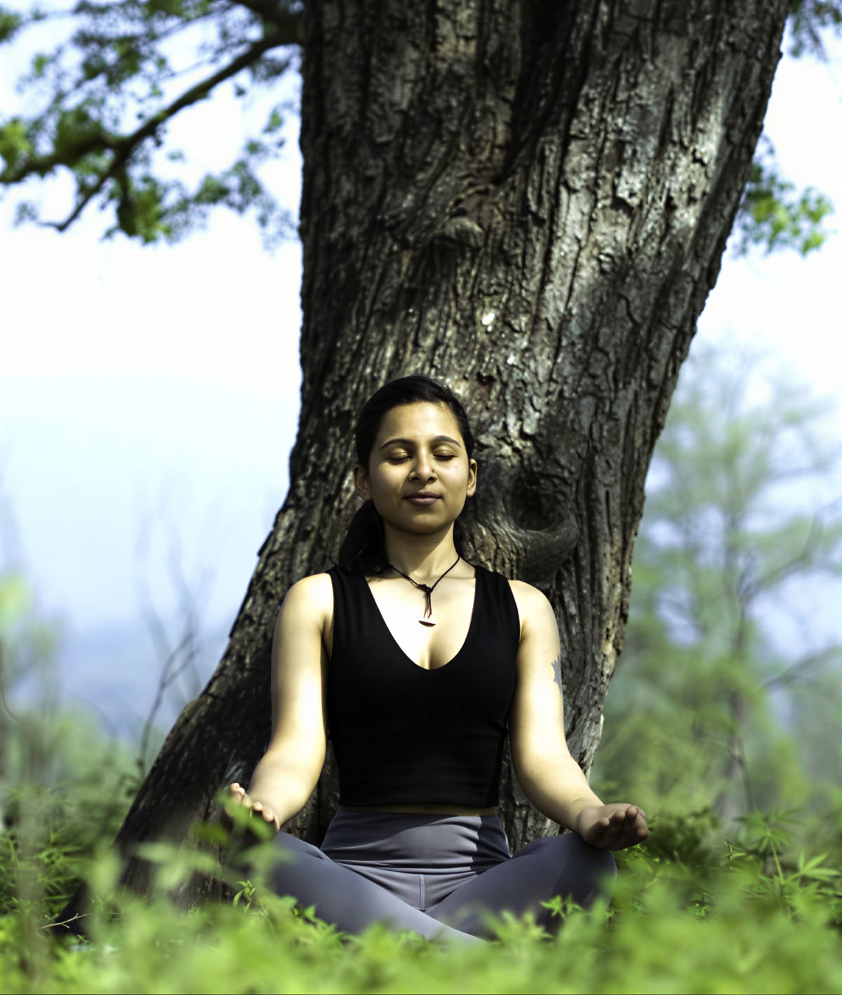 Formación de Profesores de Yoga Tradicional de 100 horas