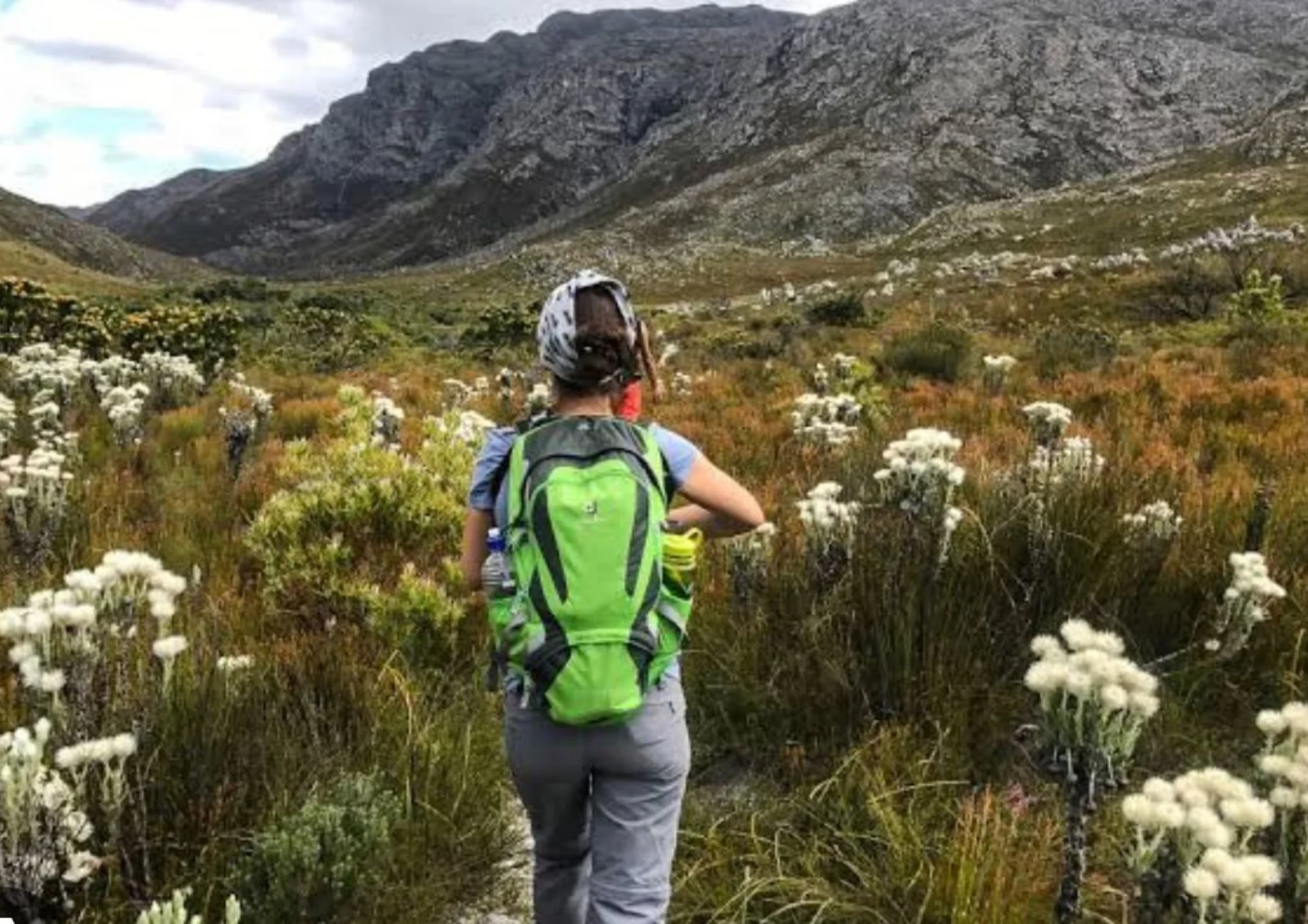 El Paseo de las Flores Silvestres