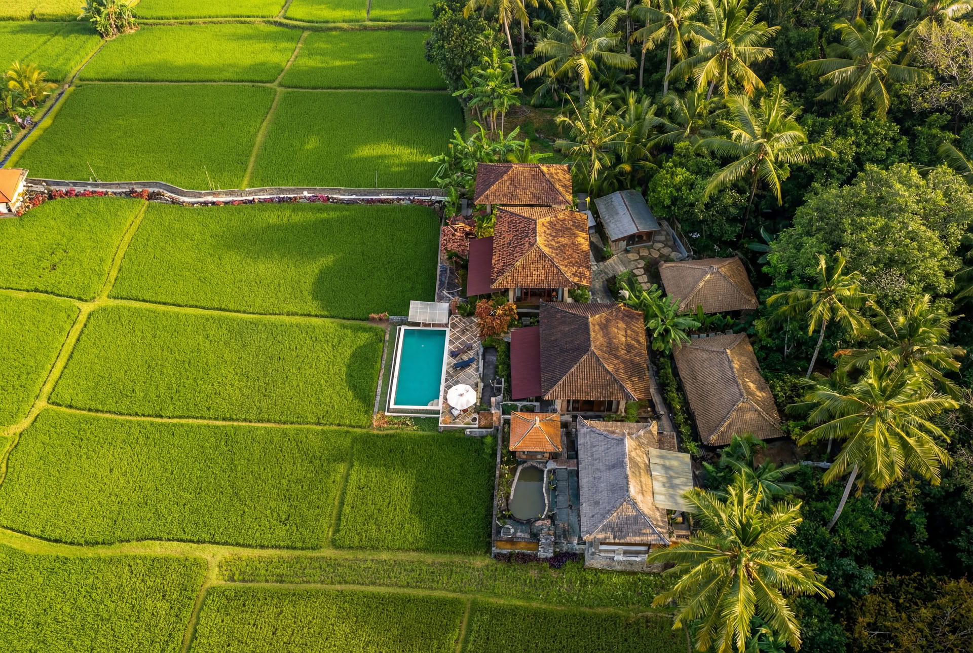 Retiro de Yoga Inolvidable de 7 Días en Firefly Retreat Bali