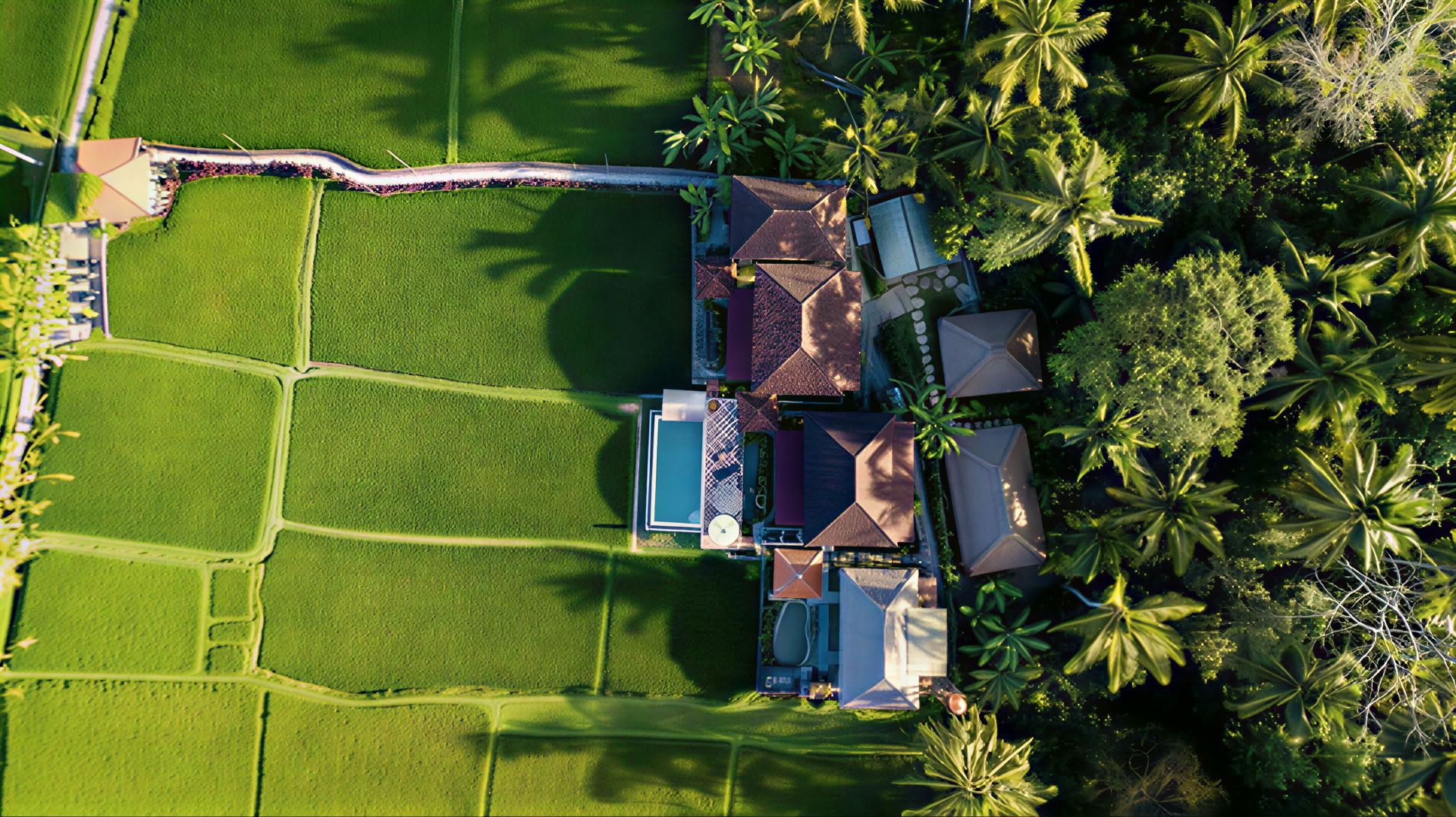 Retiro de Yoga Inolvidable de 7 Días en Firefly Retreat Bali