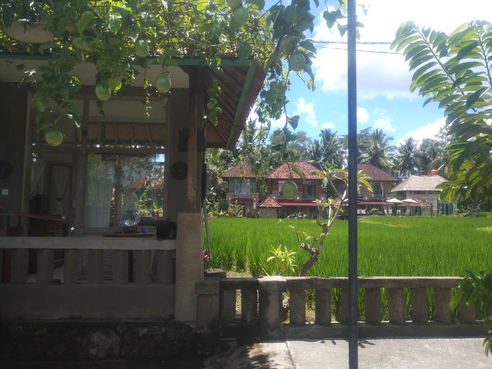 Retiro de Yoga Inolvidable de 7 Días en Firefly Retreat Bali