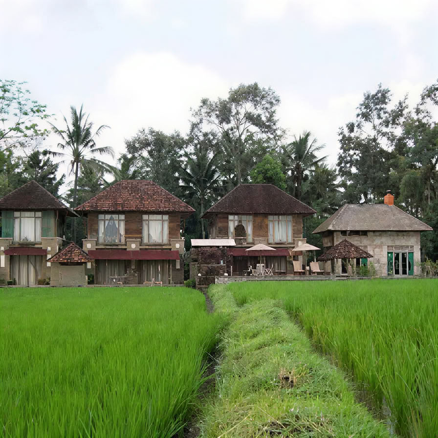 Retiro de Yoga Inolvidable de 7 Días en Firefly Retreat Bali