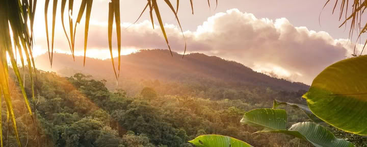 Tour de 1 día por Corcovado
