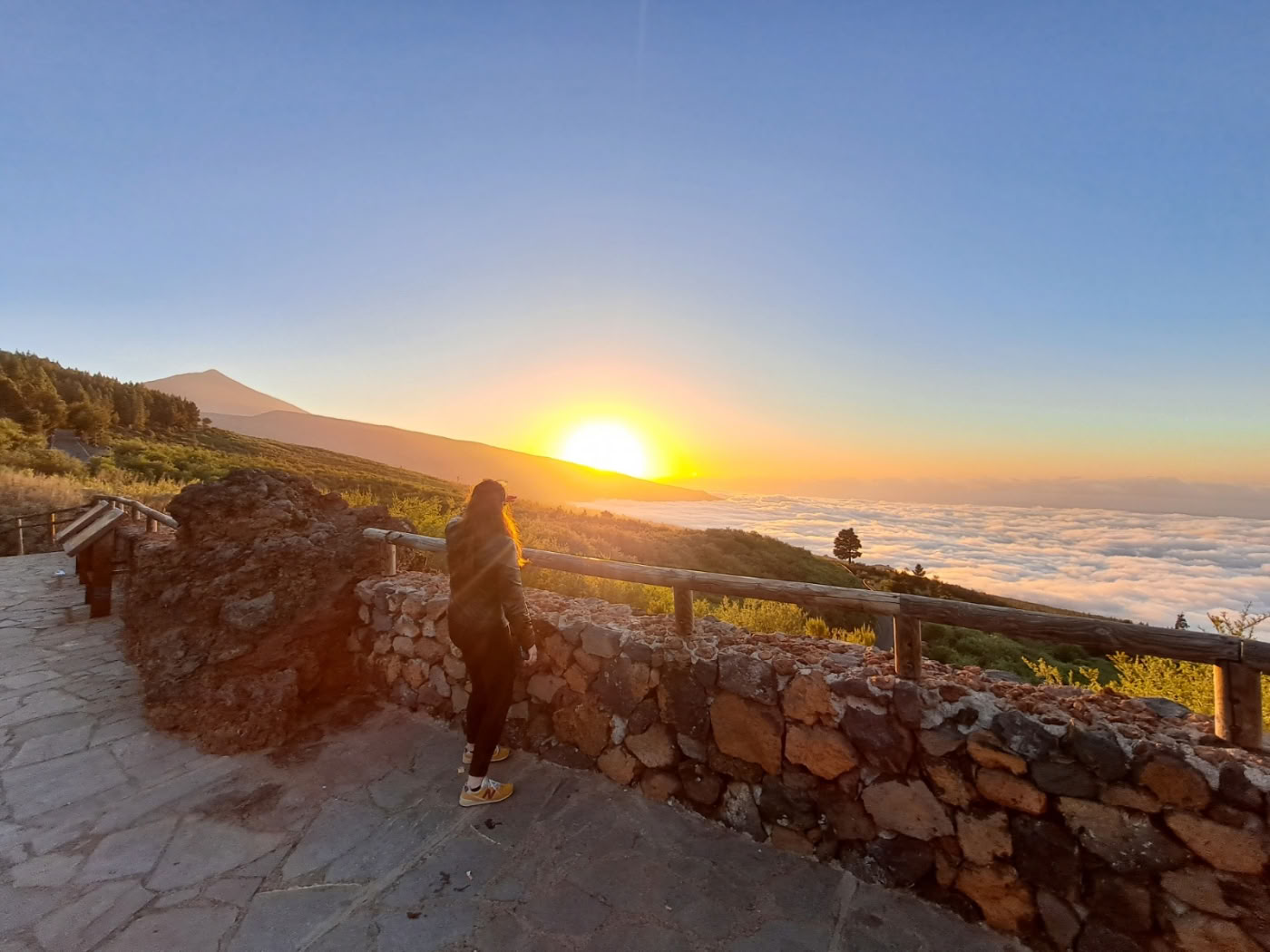 Gestión del estrés y de las emociones basada en mindfulness y qigong