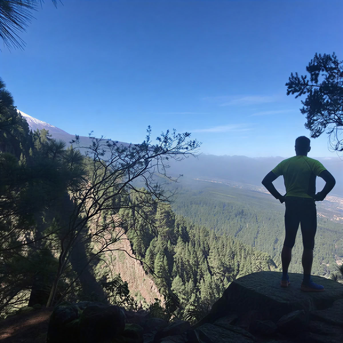 Yoga o Meditación y Pausa de Bienestar en el Norte de Tenerife – 07 Sept – 21 Oct 2026