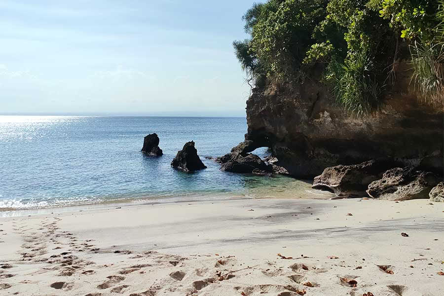 95h Formación de Profesores de Yoga para Niños en Bali