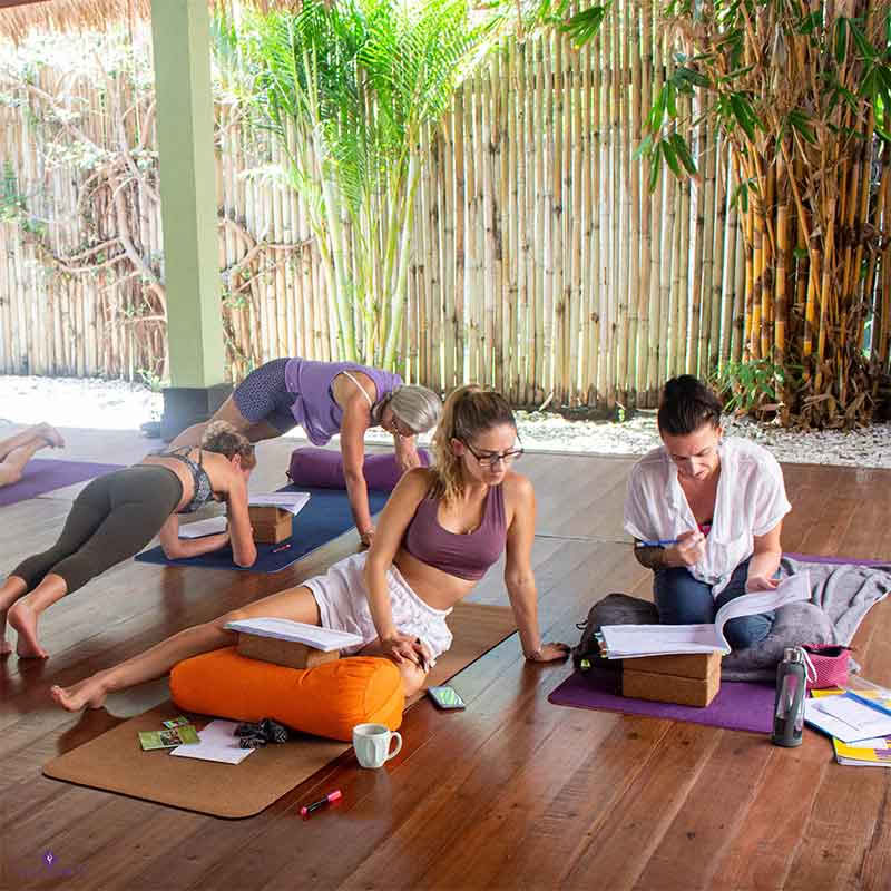 110h Formación de profesores de Yoga Anatomy & Vinyasa