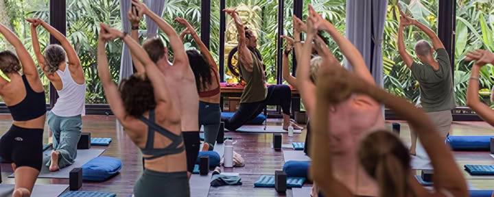 Fascia Universe 125hr Entrenamiento Avanzado de Yoga y Somática