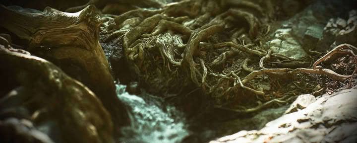 Retiros en la naturaleza
