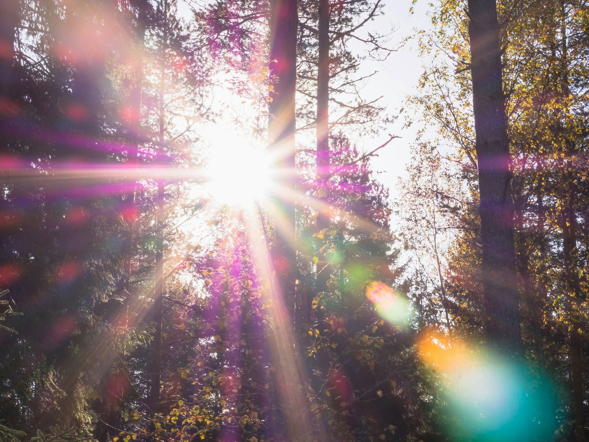 Sistertalk Retiros - LATE SUMMER GLOW: Retiro de Elemento Mineral/Naturaleza — Wild Nature Retreats