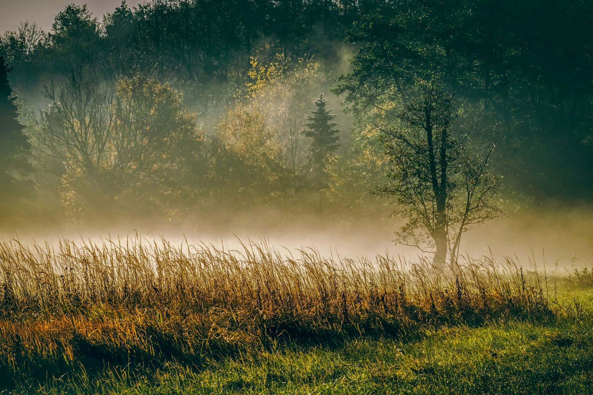 ForREST Retiro: Fin de semana de conexión con la tierra en otoño — Wild Nature Retreats
