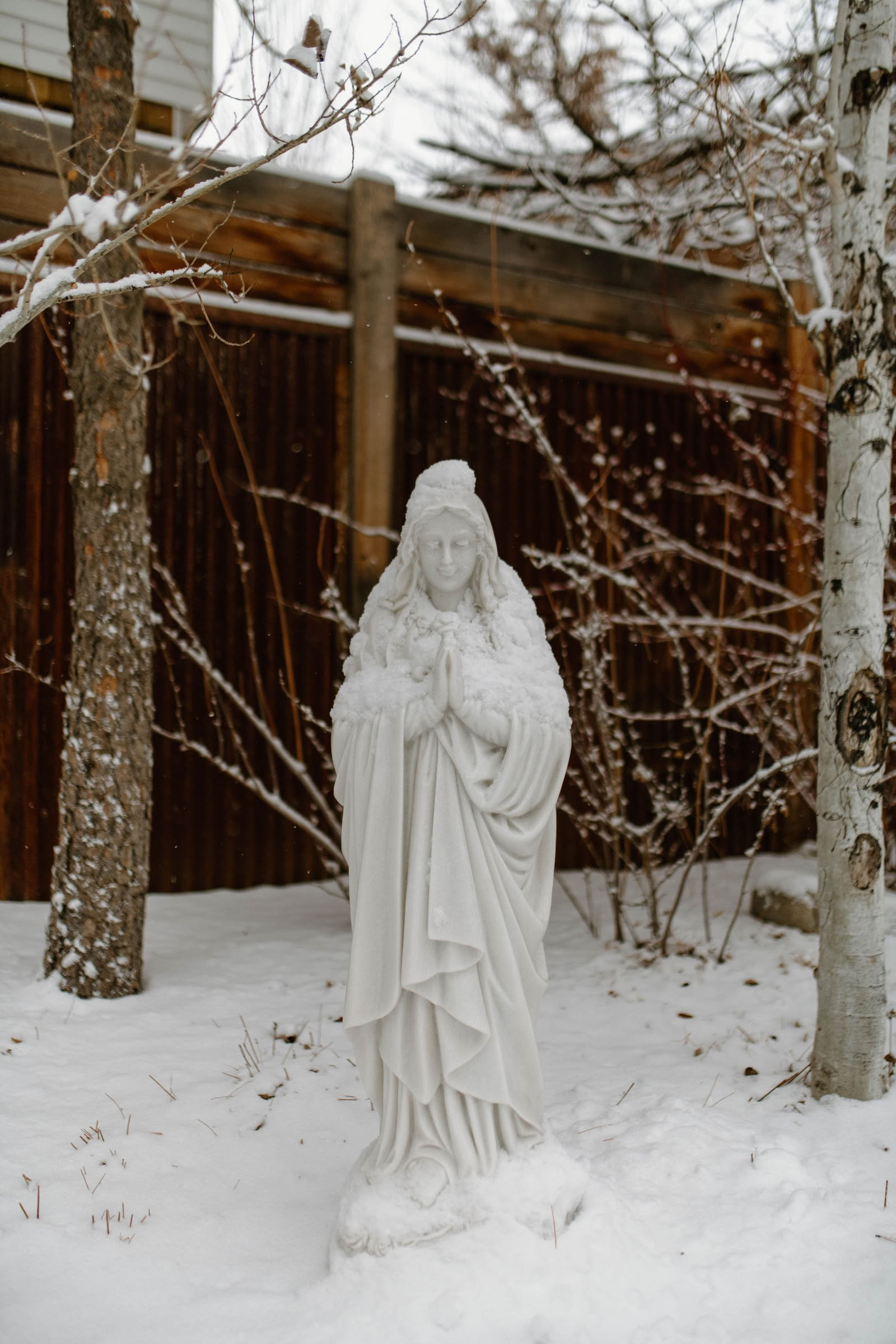 Red Thread: Instituto Internacional de Qigong | True Nature - Carbondale, CO
