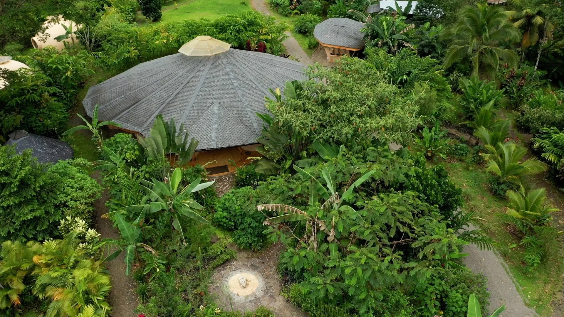 IPSALU Tantra Kriya Yoga I Nivel 2 Respiración de la Cobra — Brave Earth