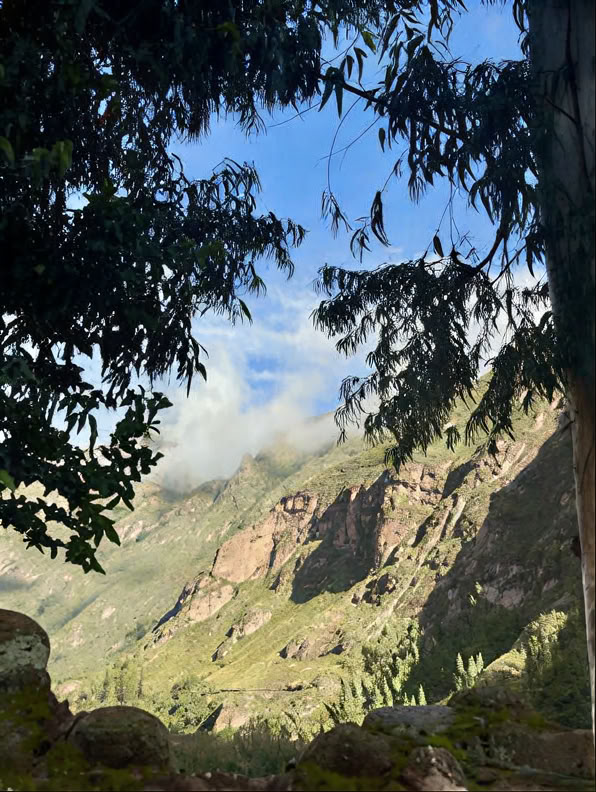 Ceremonia de Ayahuasca