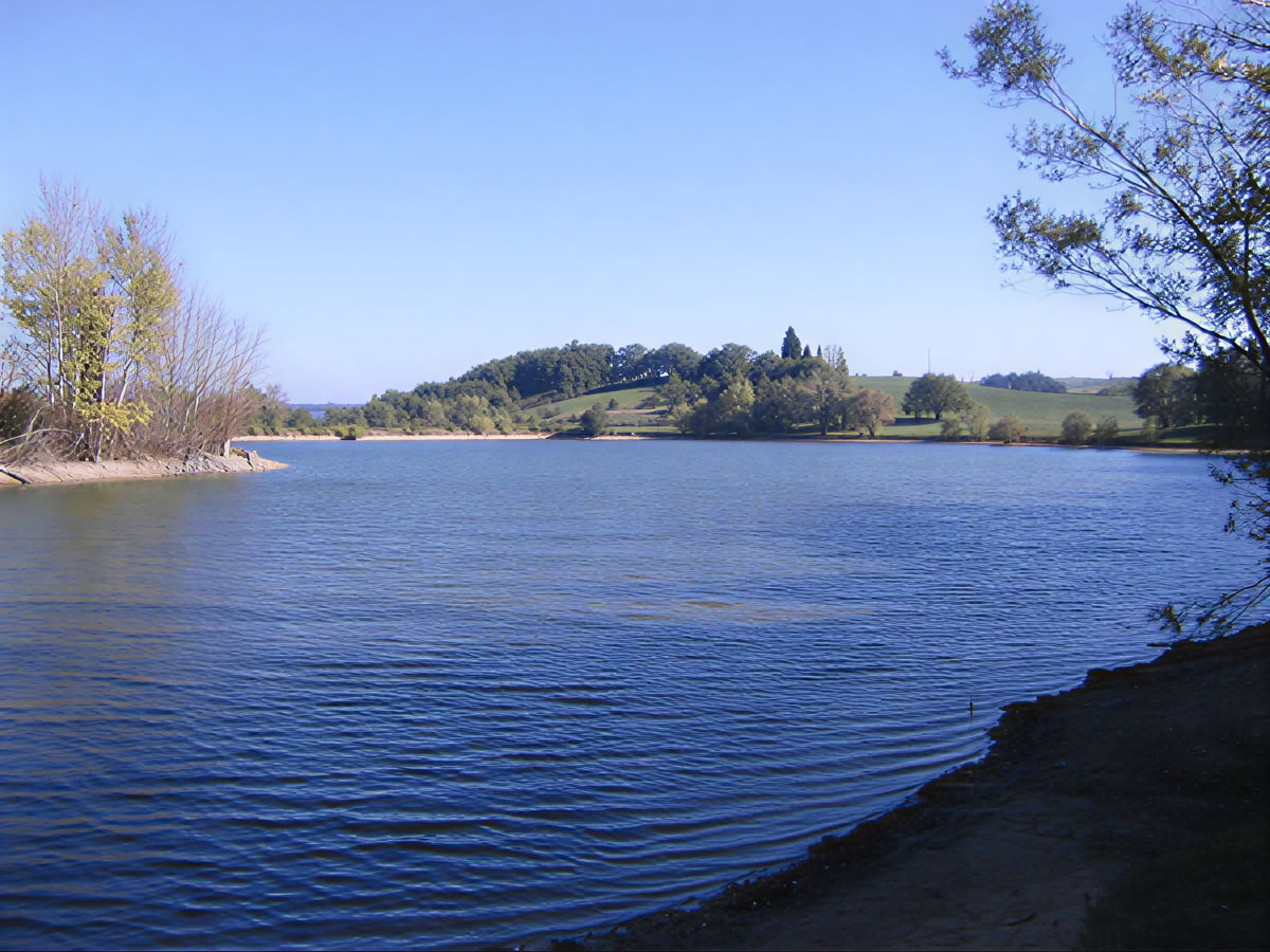 Walking for Wellbeing Retiro