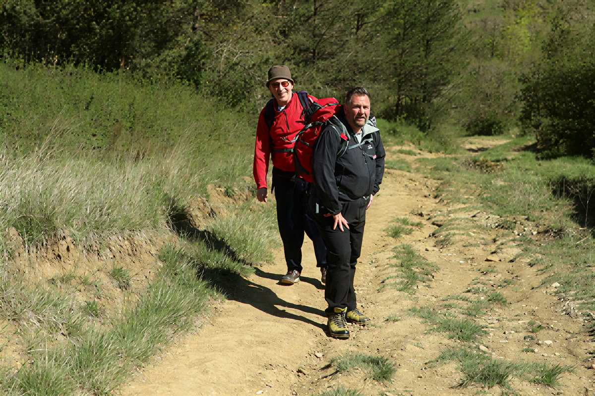 Healthy Heart Reset: Un camino hacia el bienestar