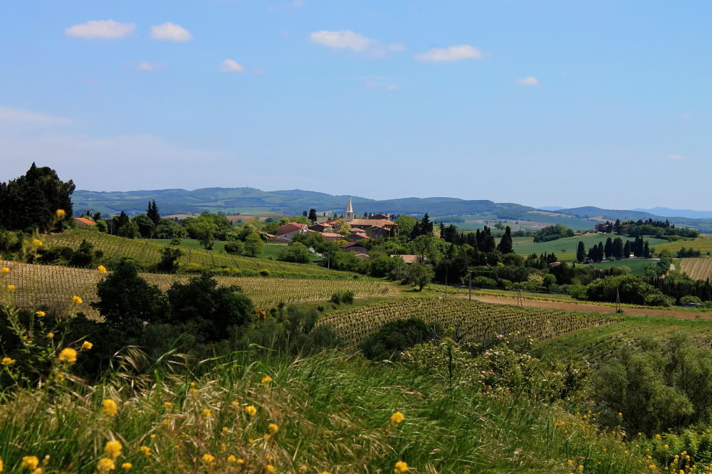 Healthy Heart Reset: Un camino hacia el bienestar