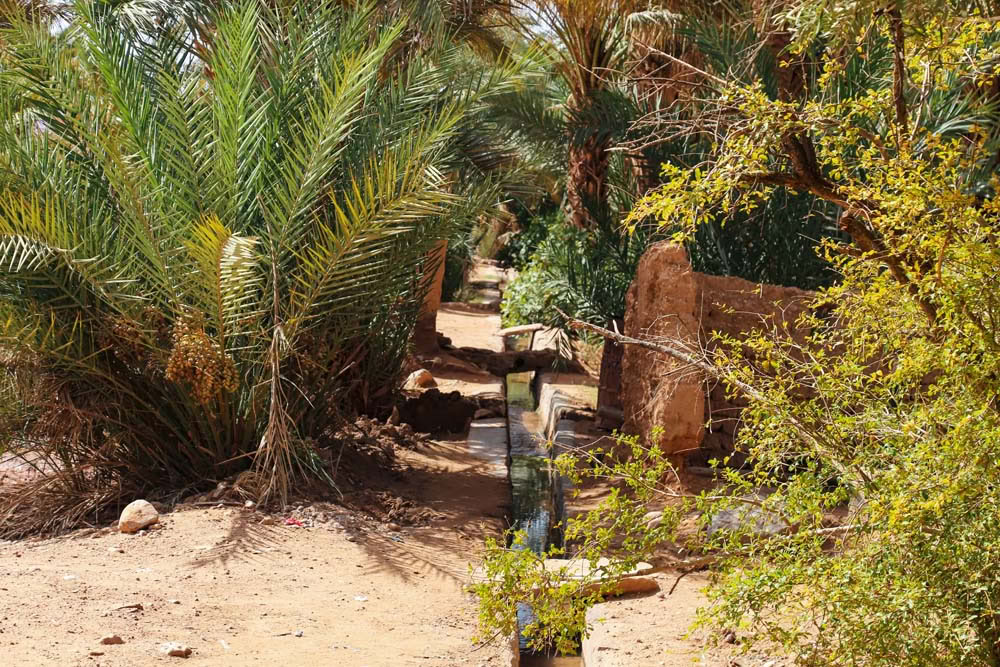 Tour de 4 días desde Casablanca a Marrakesh vía el desierto