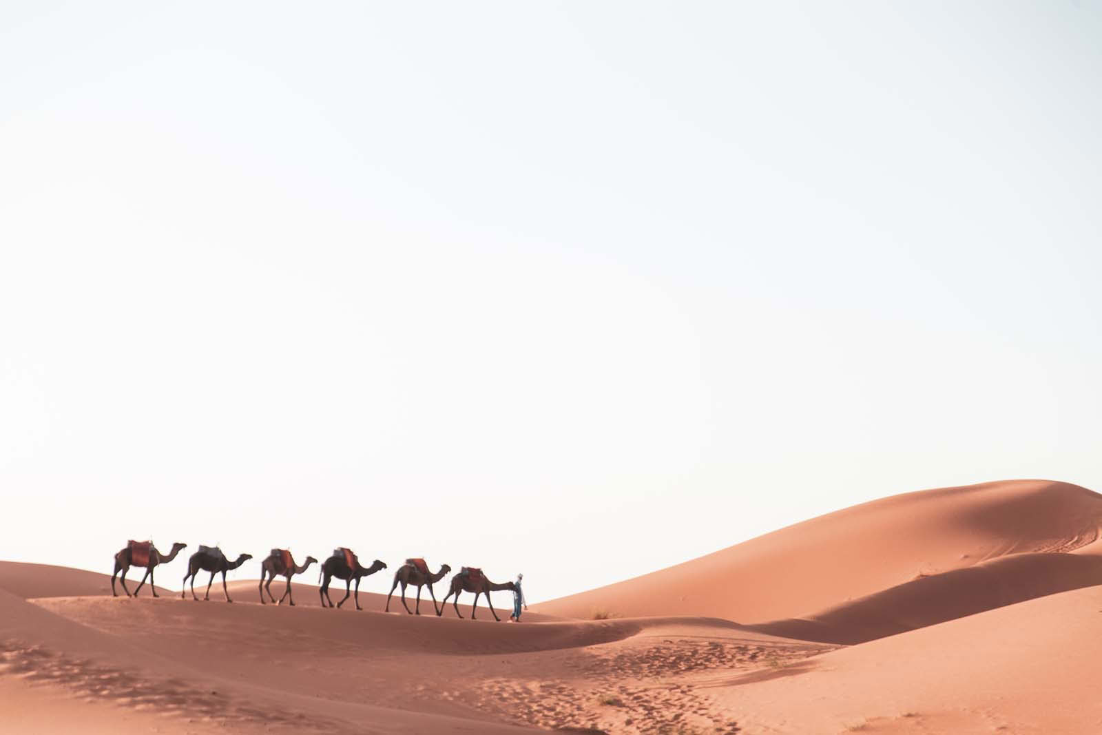 5 días – Tour de Marrakesh a Fes vía el desierto del Sahara