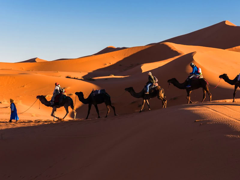 5 días de tour desde Casablanca a Chefchaouen