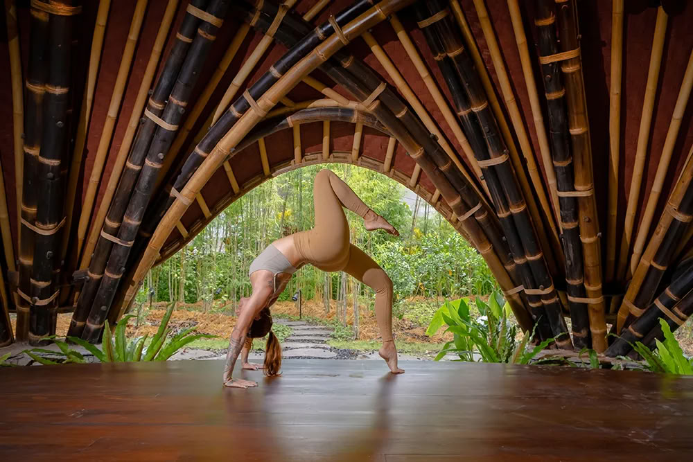 Vaidika Dharma: Formación de Profesores de Yoga SPIRIT de 100 Horas