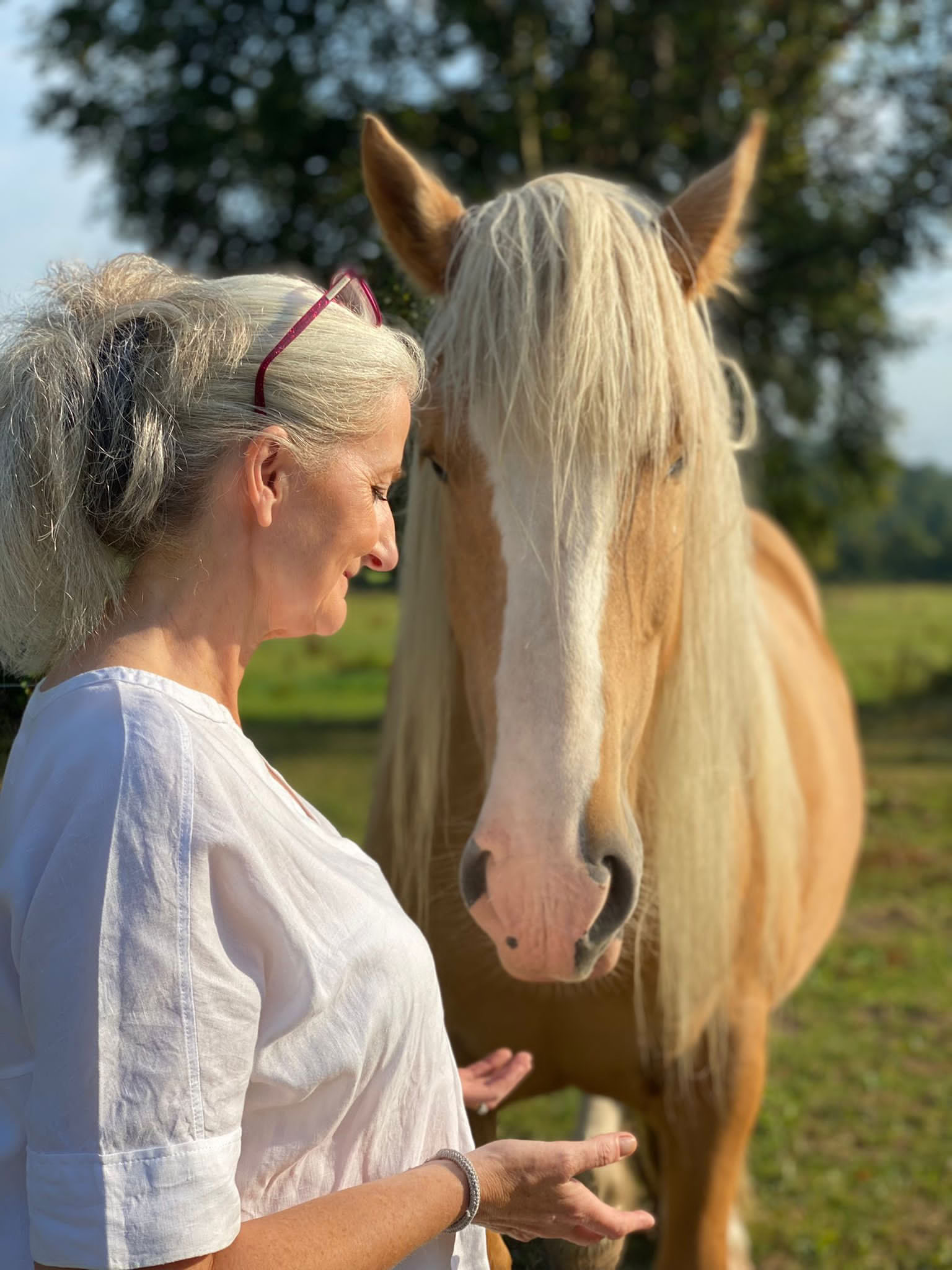 Self Love Retiro with the Horses