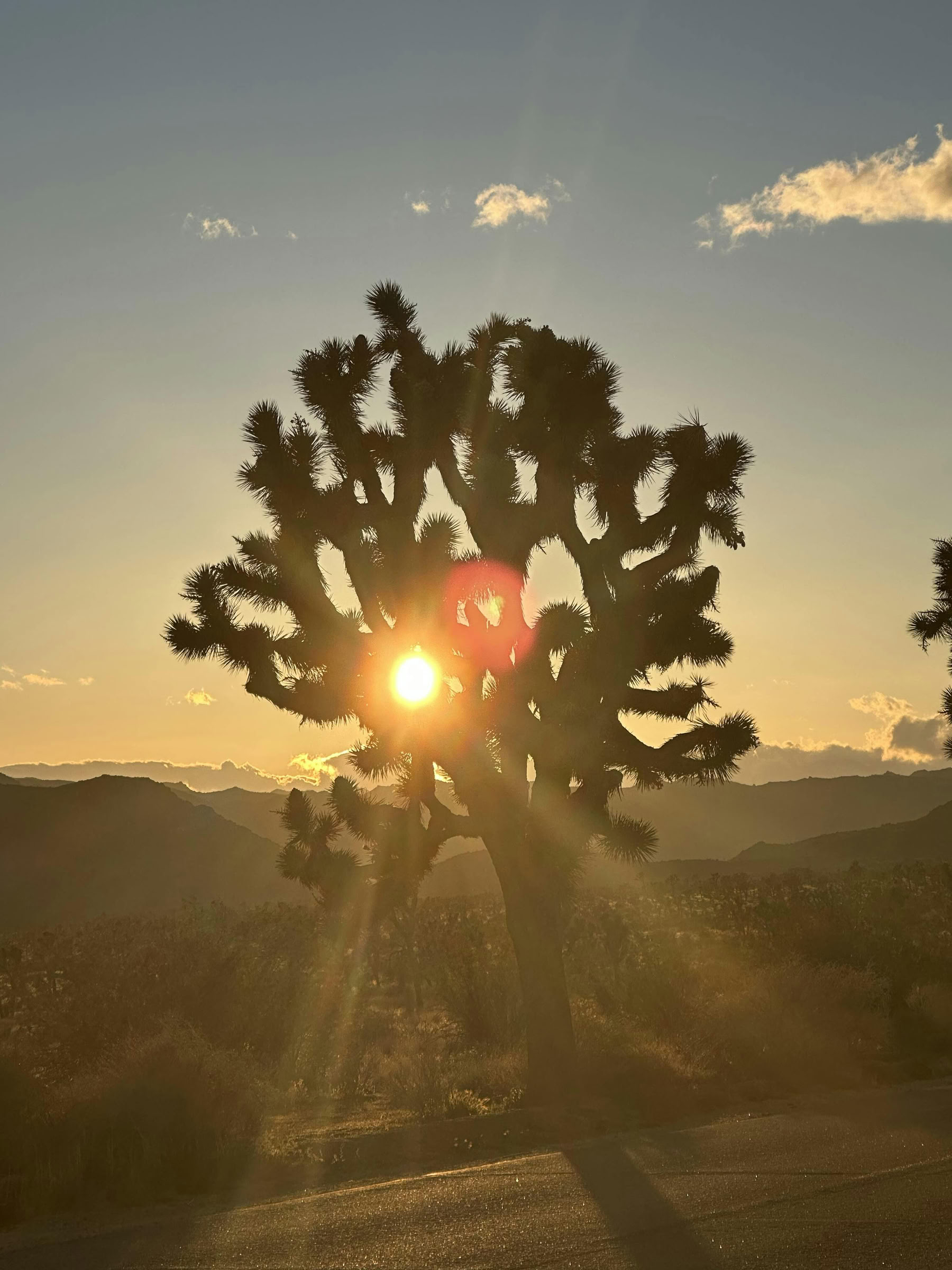 Experiencia de Breathwork y Sanación en el Desierto - Palm Springs