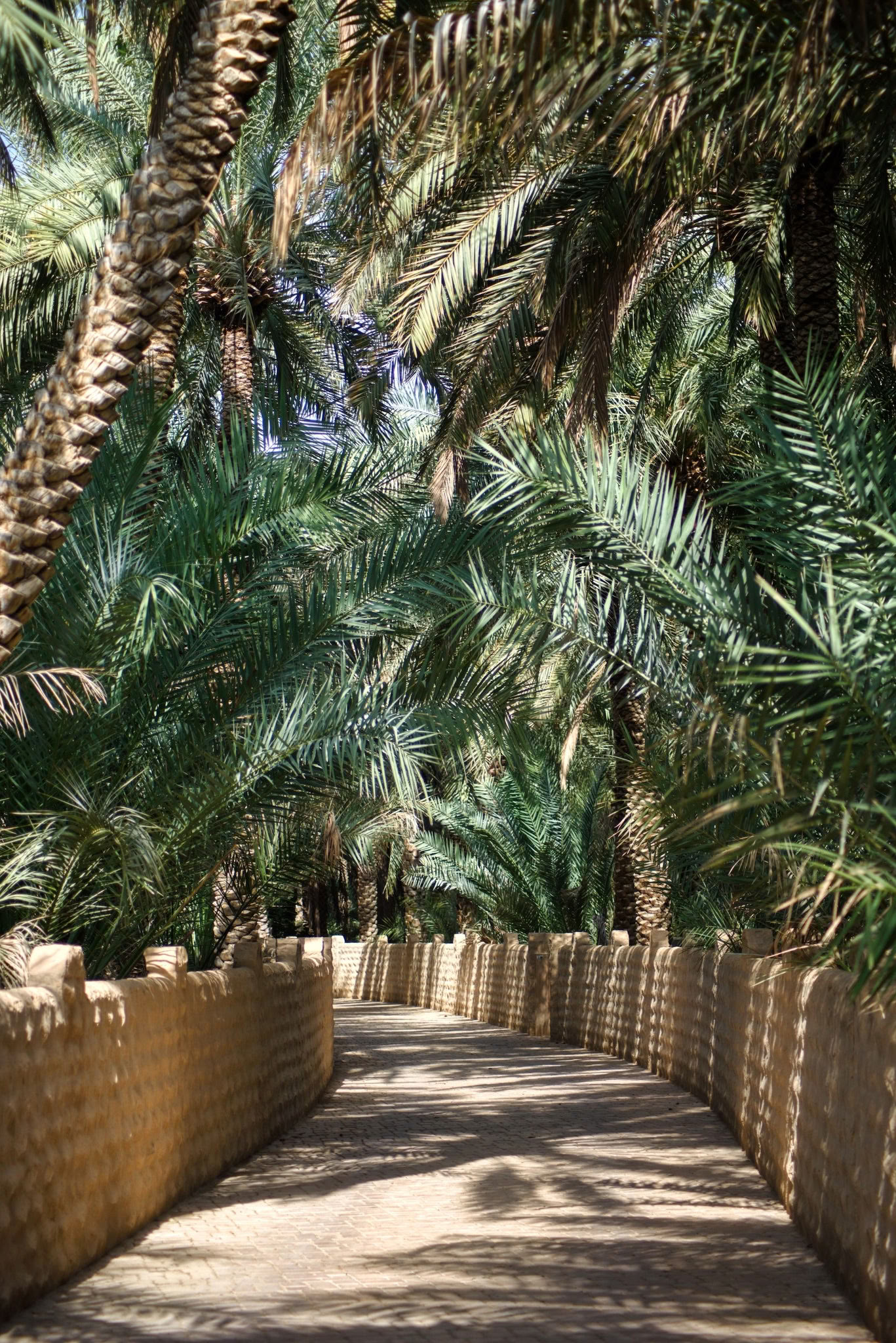Descubrimiento Personal Celestial - Palm Springs