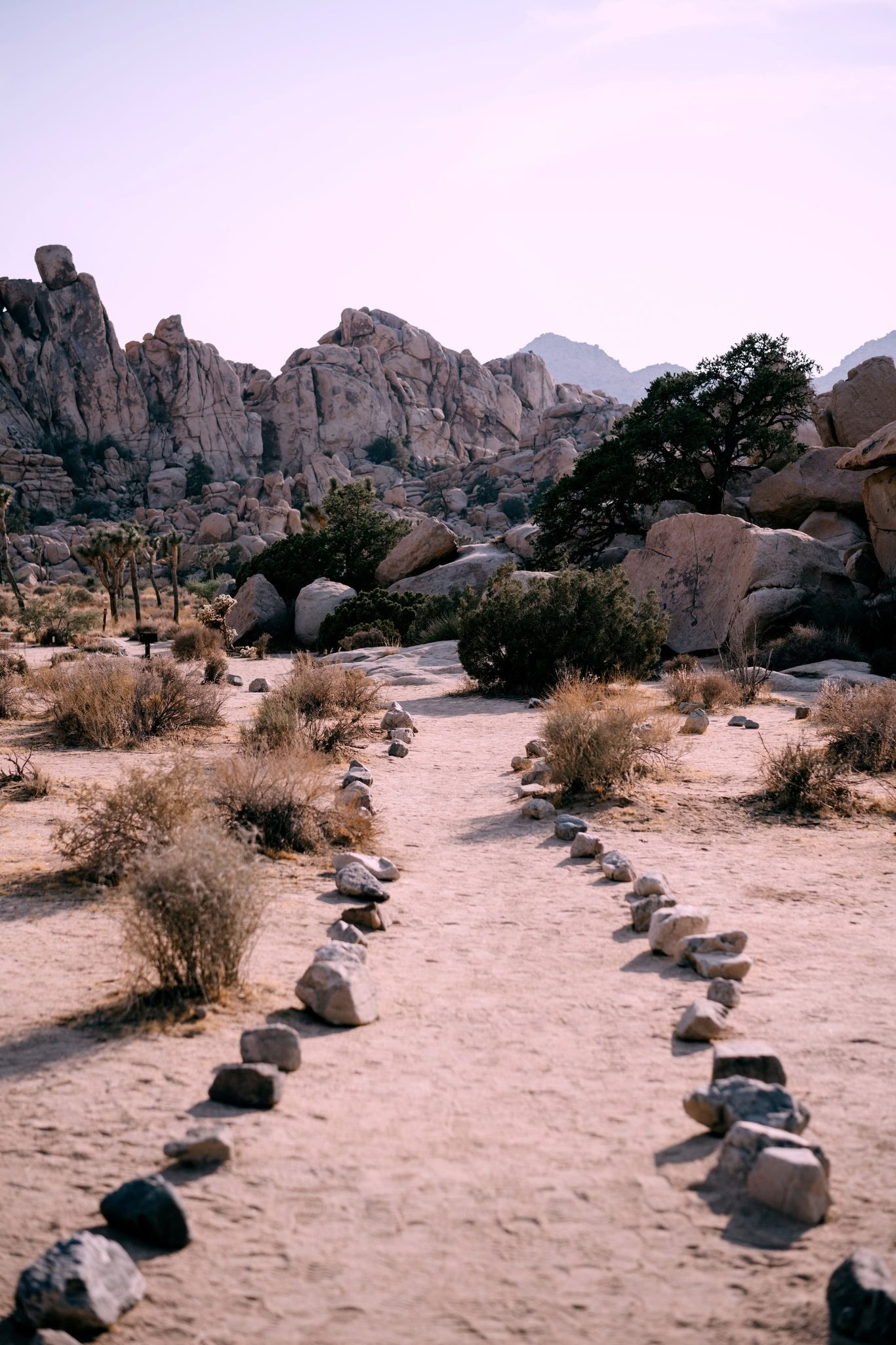 Descubrimiento Personal Celestial - Palm Springs