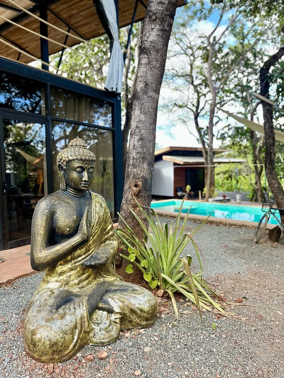Retiro de sanación Ayurveda