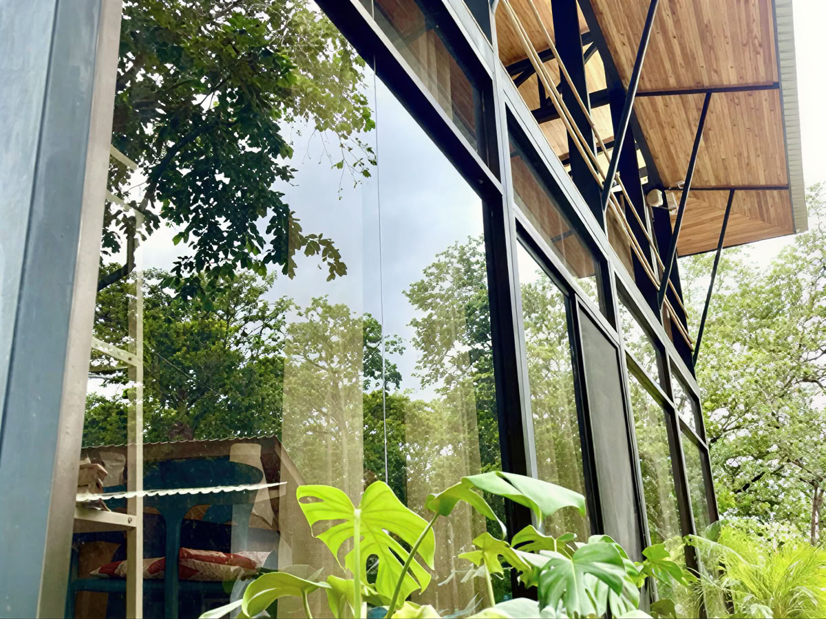 Retiro de sanación Ayurveda