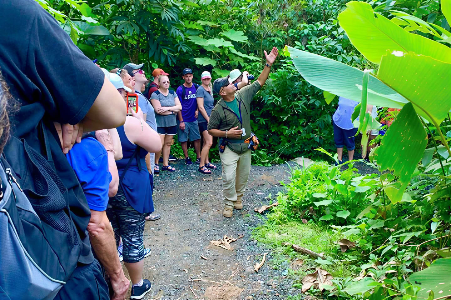 Paseo por la naturaleza en la selva tropical salvaje y escénica hacia la aventura en el río