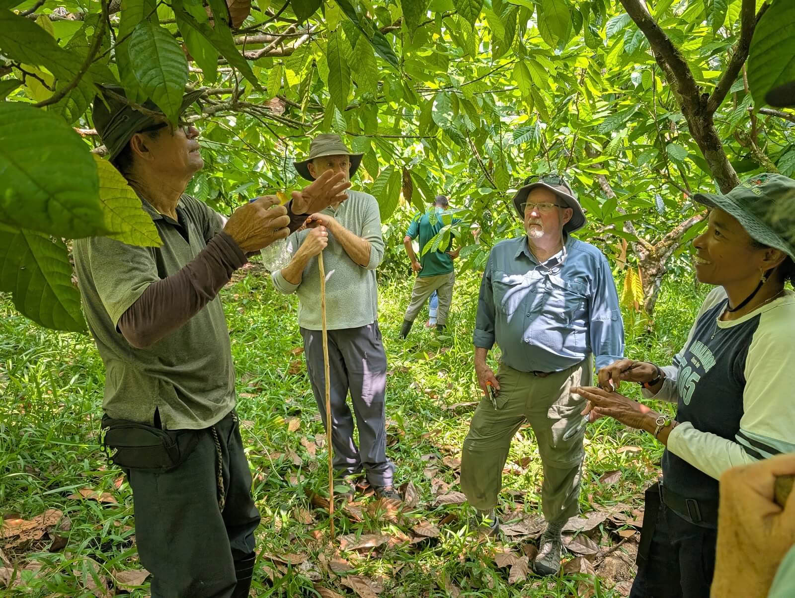 Taller de elaboración de chocolate de la tierra a la barra