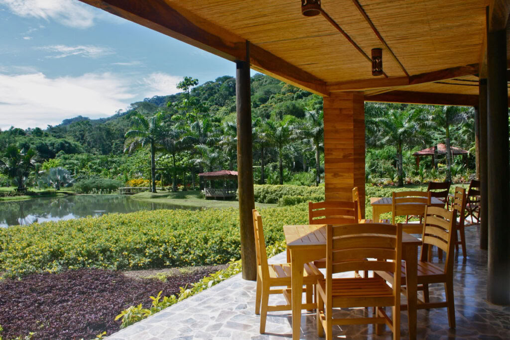 Taller de elaboración de chocolate de la tierra a la barra