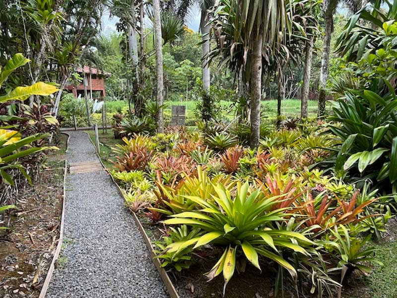 Taller de elaboración de chocolate de la tierra a la barra